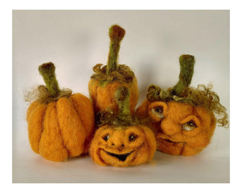 Orange Pumpkin Needle Felting Refill Kit - Cupid Falls Farm