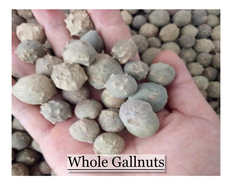 Oak Gall - Whole - 8 oz - Cupid Falls Farm