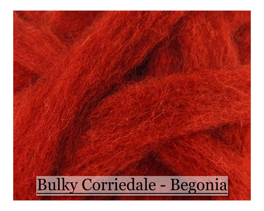 Begonia - Corriedale Wool Roving - Corriedale Wool Sliver - 16oz - Cupid Falls Farm