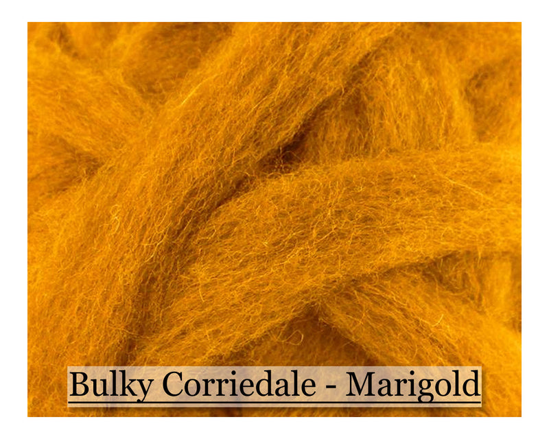 Marigold - Corriedale Wool Roving - Corriedale Wool Sliver - 16oz - Cupid Falls Farm