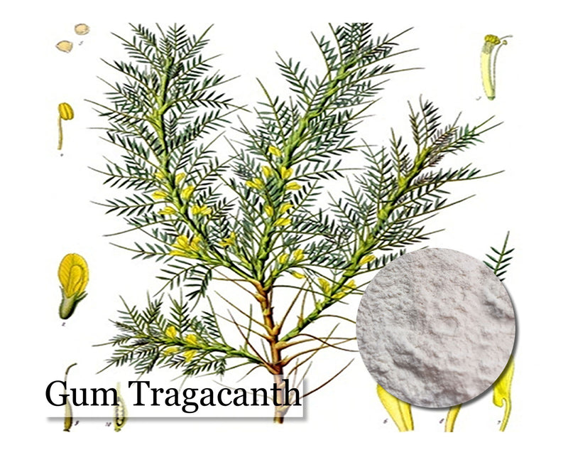Gum Tragacanth Powder - 1 oz - Cupid Falls Farm