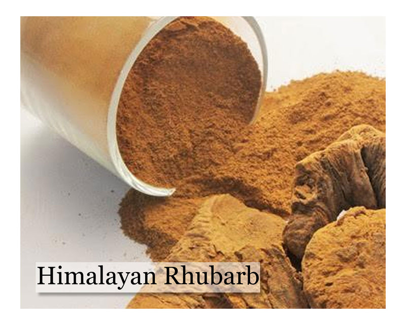 Himalayan Rhubarb - 2oz - Cupid Falls Farm