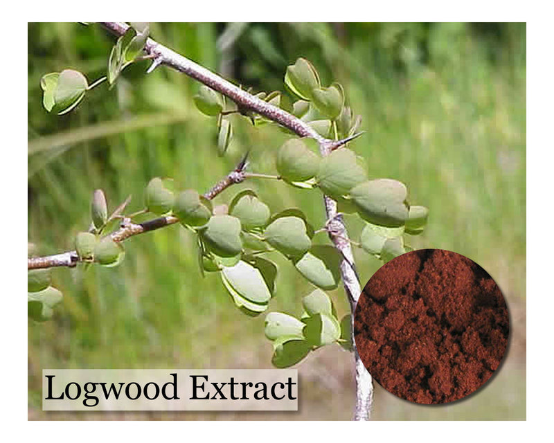 Logwood Purple Extract 1oz - Cupid Falls Farm