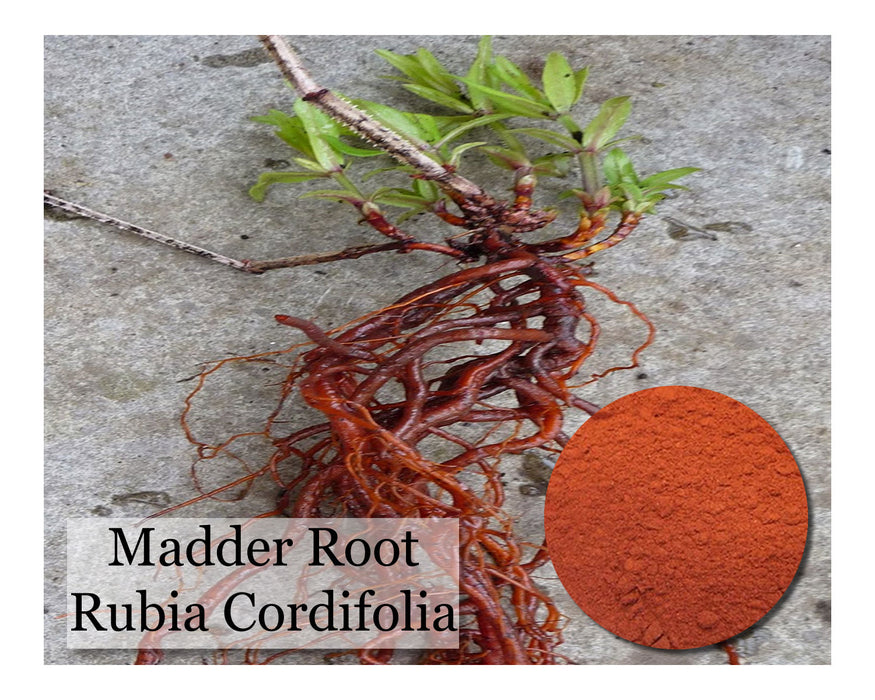 Madder - Rubia Cordifolia - Powder - 2 oz - Cupid Falls Farm