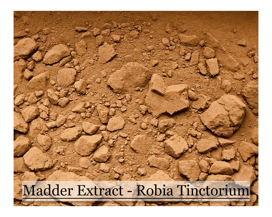 Madder - Rubia Tinctorium - EXTRACT- 4 oz - Cupid Falls Farm