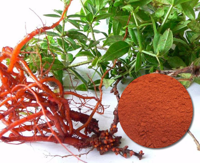 Madder - Rubia Tinctorium - Powder - 1 oz - Cupid Falls Farm