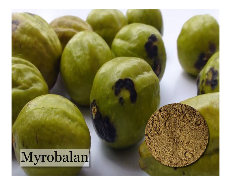 Myrobalan - 8 oz - Cupid Falls Farm