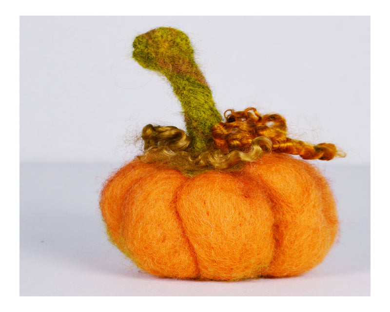 Blue Pumpkin Needle Felting Kit - Cupid Falls Farm