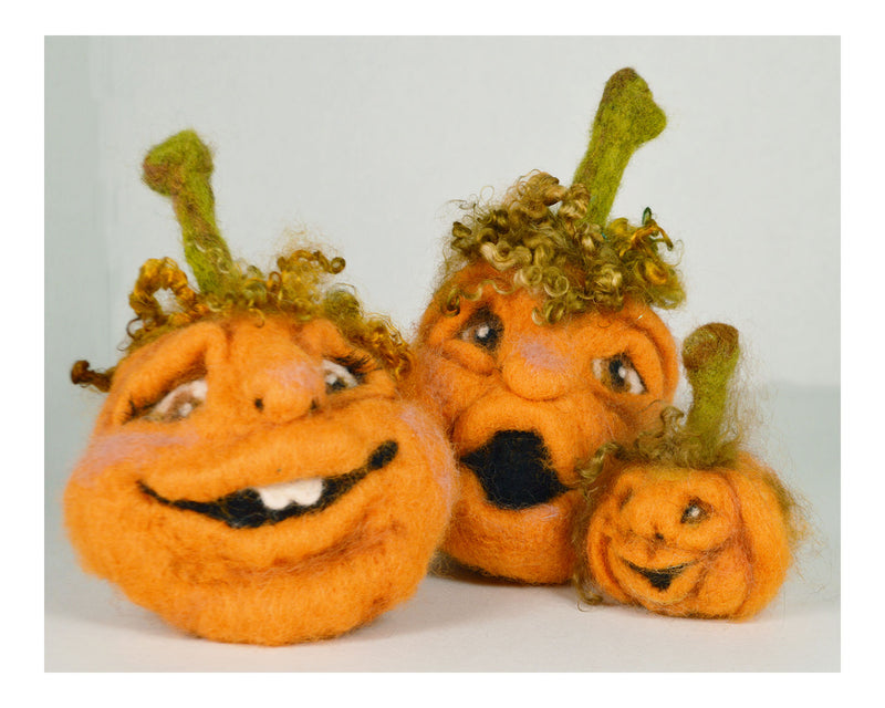 Orange Face Pumpkin Needle Felting Kit - Cupid Falls Farm