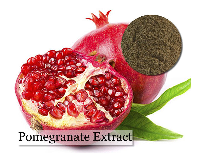 Pomegranate Extract - 1 oz - Cupid Falls Farm