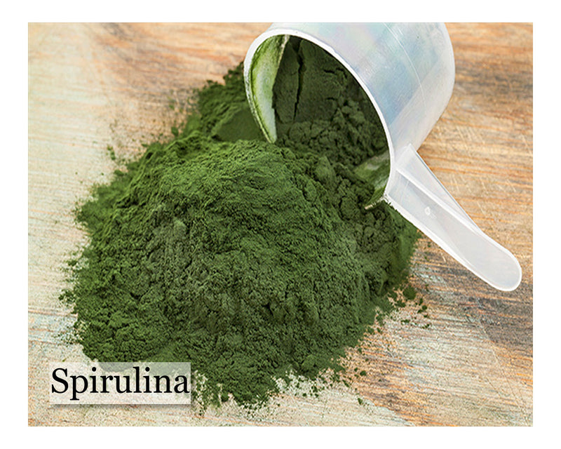 Spirulina - 8oz - Cupid Falls Farm