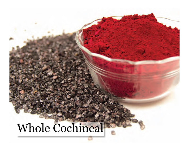 Cochineal - Whole - 1oz - Cupid Falls Farm